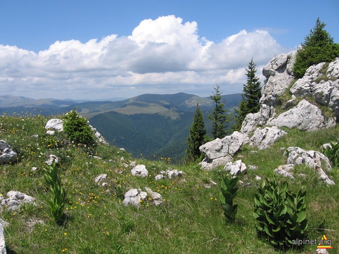 Creasta Munțiilor Căpățânii văzută din Buila Vânturarița