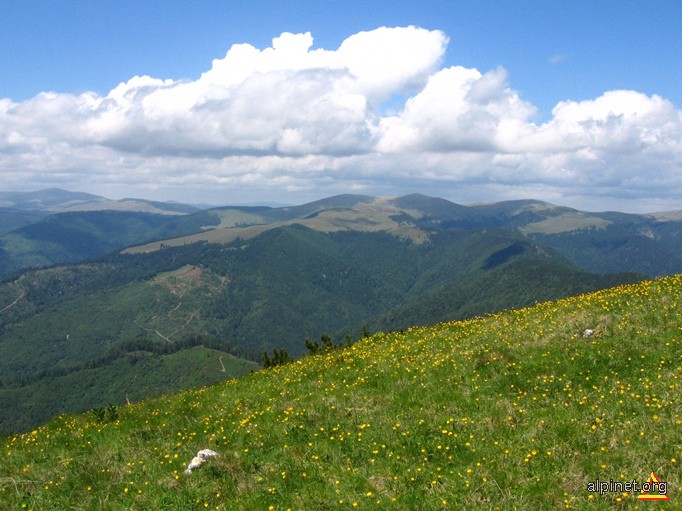 Creasta Munțiilor Căpățânii văzută din Buila Vânturarița 1