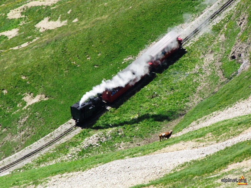 Cu trenul in Alpi